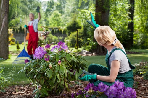 Professional garden clearance team in Penge
