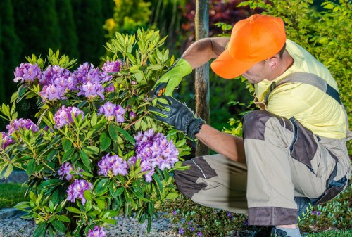 Operator starting hedge trimming job in Penge with safety gear