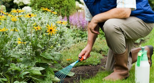 Professional garden design in Penge
