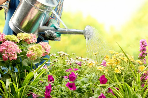 Contact Hedge Trimming Penge for professional hedge trimming services