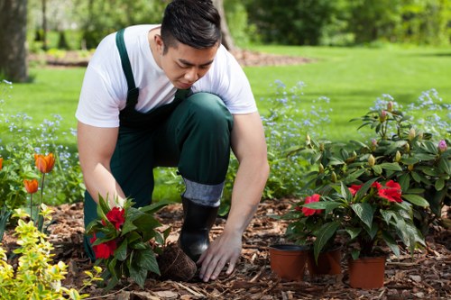 Sustainable garden practices in Penge