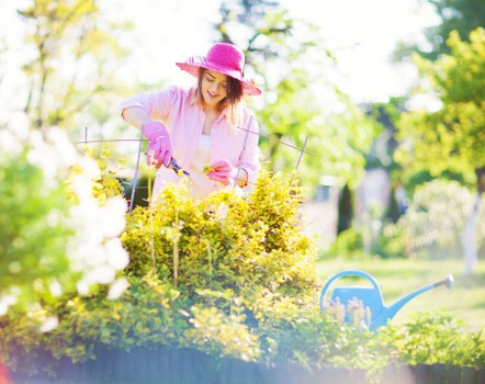 Healthy soil preparation for garden plants in Penge