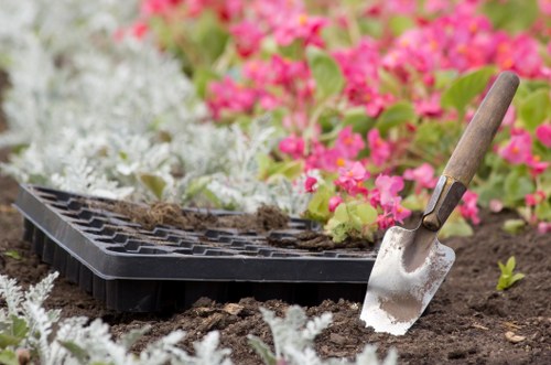Enhanced curb appeal with neatly trimmed hedges