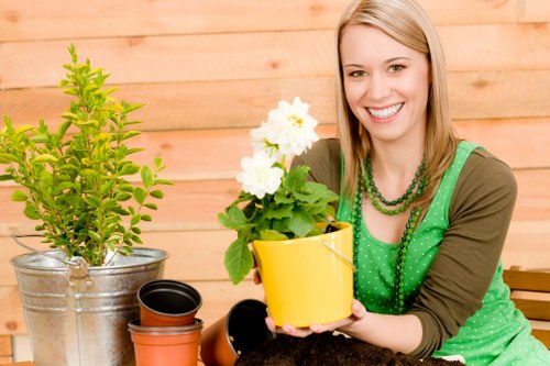 Lush green garden with diverse plants and flowers