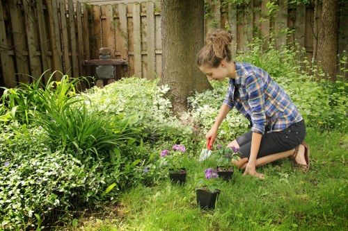 Customized deck design features