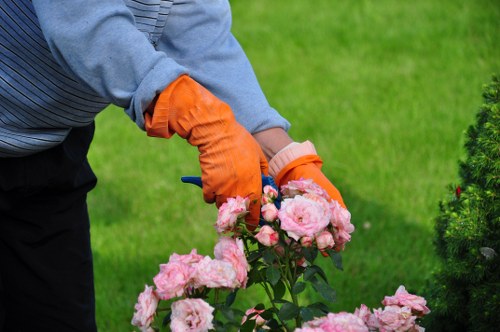 Lush garden maintained by a Penge lawn care expert