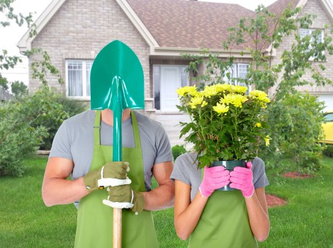 Qualified arborists at work