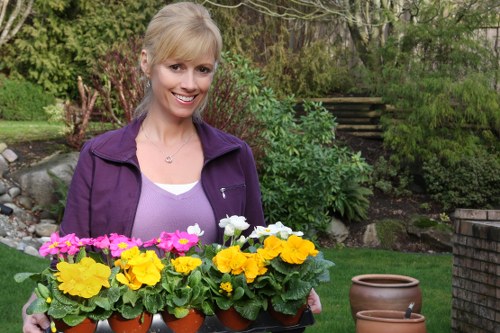 Variety of popular plants suitable for Penge gardens.