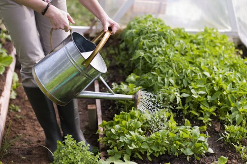 Expert gardeners trimming hedges in Penge
