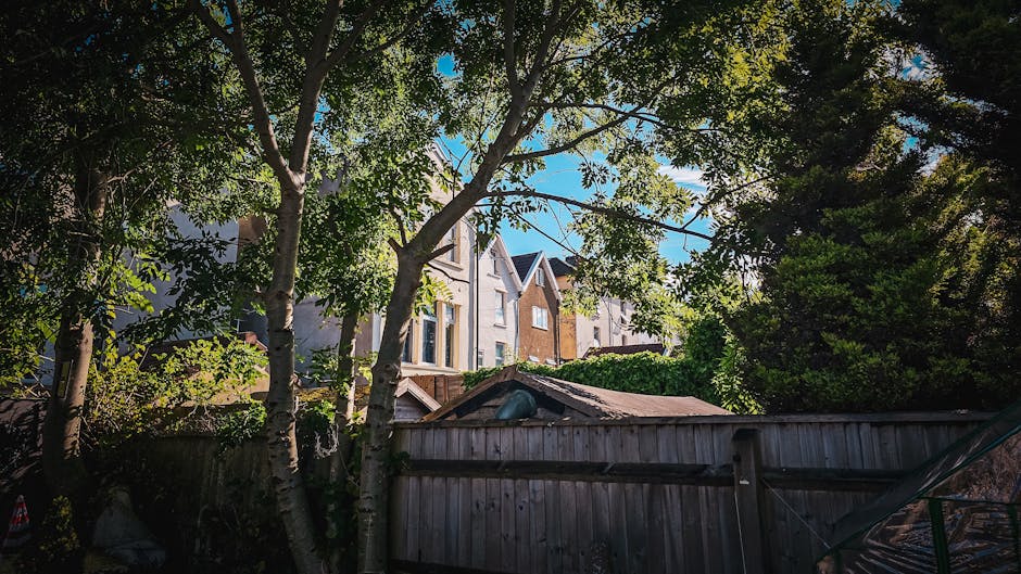 A well-maintained garden scene with neatly trimmed evergreen hedges forming a boundary along a gravel pathway, bordered by flower beds filled with vibrant blooms and lush green foliage. The lawn featu